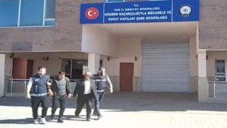 Vanda 3 organizatör tutuklandı