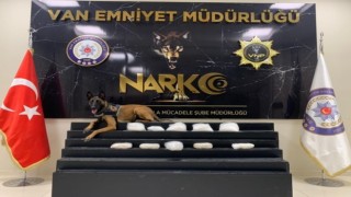 Vanda 31 kilogram uyuşturucu ele geçirildi