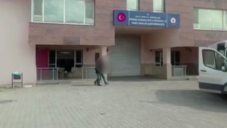 Vanda 6 organizatör tutuklandı