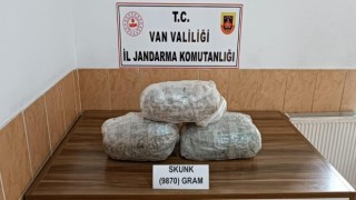 Vanda 9 kilo 870 gram skunk maddesi ele geçirildi