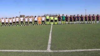 Viranşehir 3 puanı 3 golle aldı
