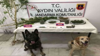 Yakalama kararı olan şüpheli Yenipazarda yakalandı