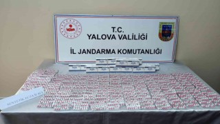 Yalovada tırda gizlenmiş 3 bin 920 adet uyuşturucu hap ele geçirildi