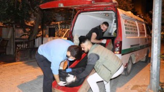 Yaşadığı dairede babası tarafından ölü bulundu