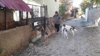 Yaylalar boşalınca aç kalan hayvanları muhtar doyurdu