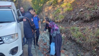 Yeğeniyle mantar toplamaya giden yaşlı kadın ormanda kayboldu