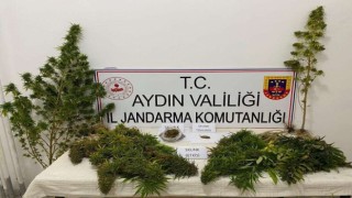 Yenipazarda uyuşturucu baskını