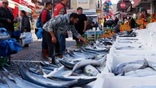 Yer gök palamut: Tanesi 100 TLden satılıyordu bugün 3 tanesi 100 TL