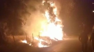 Zeytin ağaçlarının yakılmasının ardından nöbet tutan köylüler rahat bir gece geçirdi