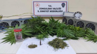 Zonguldak polisinden uyuşturucu operasyonu: 3 günde 16 kişi gözaltına alındı