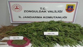 Zonguldakta uyuşturucu operasyonu