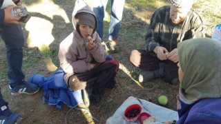 2 gündür ormanda kayıp olan çocuğu jandarma ekipleri buldu