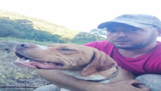 20 bin liralık köpeğini çaldılar bulana kuzu hediye edecek