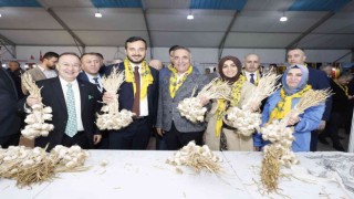 “3. Kastamonu Yöresel Günleri ve Şehit Şerife Bacı Torunları Gençlik Festivali” başladı