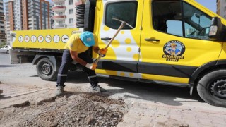 4 Koldan Onarım, Daha Güzel Talas