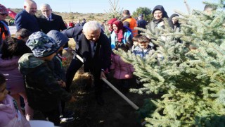 783 bin hektar ormanı bulunan Kastamonuda, 185 bin hektar son 50 yılda ağaçlandırıldı