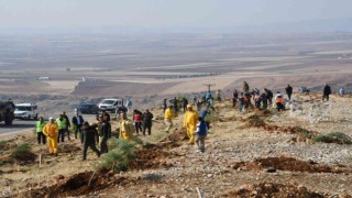 Adıyamanda, fidanlar toprakla buluşturuldu