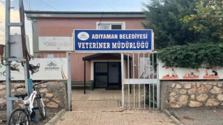 Adıyamanda iki mahalleye kuduz karantinası