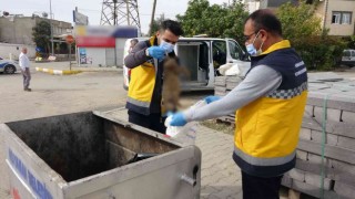 Adıyamanda kedi vahşeti