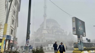 Ağrıda yoğun sis etkili oldu