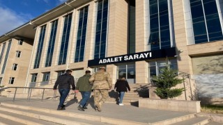 Ahlattaki cinayetin zanlısı Vanda yakalandı