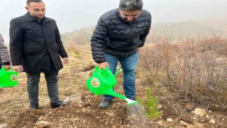 Ak Gençler 500 fidanı toprakla buluşturdu