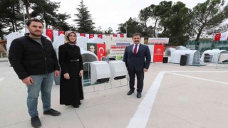 Amasyada çiftçilere buzağıları için ekipman desteği