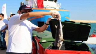 Antalyada balıkçılara istilacı balon balığı bereketi