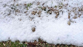 Antalyada dolu, portakal bahçelerine ve seralara zarar verdi