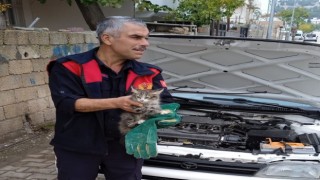 Aracın motor kısmına sıkışan kedi kurtarıldı