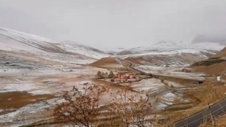 Ardahanın yüksek kesimlerinde kar yağışı etkili oldu