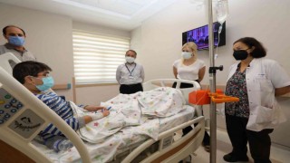 AÜde 317 nakilden 163ü canlı vericiden 21i ise kadavradan oldu