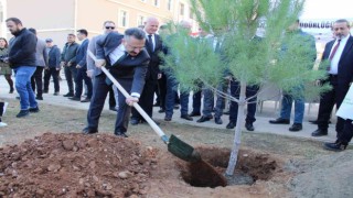 Aydında 109 bin fidan toprakla buluştu