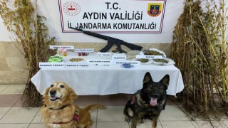 Aydında eş zamanlı uyuşturucu operasyonu: 26 gözaltı