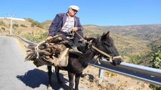 Aydında geleneksel kış hazırlıkları başladı
