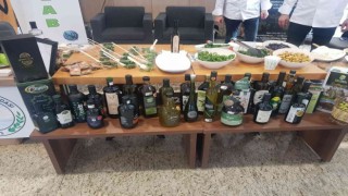 Ayvalık Mutfağı Gastromasa Gastronomi Konferansında