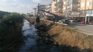 Balık ölümleriyle gündeme gelen kanal temizleniyor