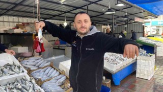 Balıkçıların yüzü hamsiyle güldü