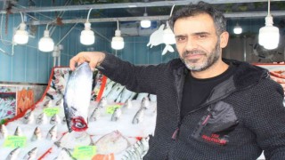 Balıkta bereket yılı