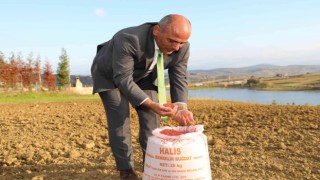 Başkan Söğüt: Çiftçimize 37 ton buğday tohumu dağıtacağız