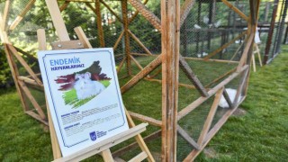 Başkentin 5 beyazı öğrencilere tanıtılıyor