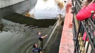 Başkentte kanalizasyona düşen kediyi itfaiye ekipleri kurtardı