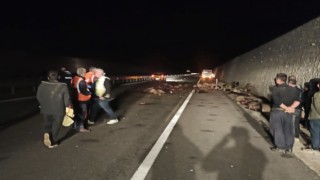 Batmanda tankerin çarptığı 95 koyun telef oldu