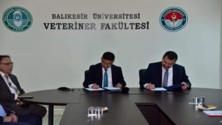 BAÜNde Damızlık Koç Üretim Merkezi kuruluyor