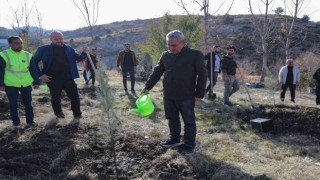 Belediyeden ağaçlandırma etkinliği