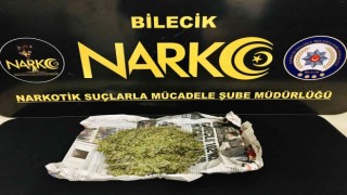 Bilecikte 181 gram esrar ele geçirildi, 2 kişi yakalandı