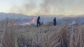 Birçok kuş türünün yaşadığı Nehil Sazlığında yangın