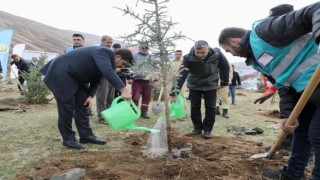Bitliste 3 bin fidan dikildi