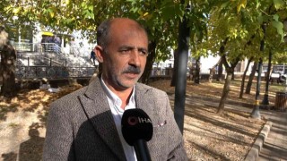 Bitliste manda popülasyonu artmaya devam ediyor