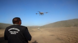 Bodrum Belediyesinde drone ile ilaçlama dönemi başlıyor